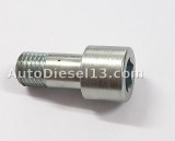 HOLLOW SCREW for BOSCH VE injection pump