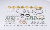 PEP PESP 8 Cyl Injection pump Repair kit 