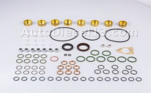 PEP PESP 8 Cyl Injection pump Repair kit 