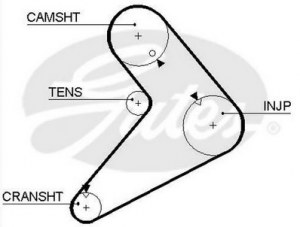 Timing belt GATES 5073